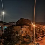 Merilyn Petrich Петрич