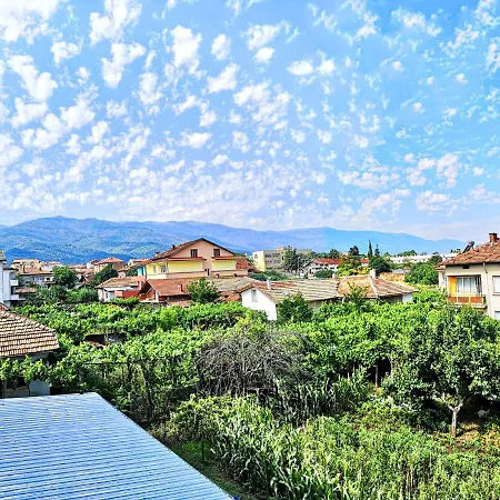 Merilyn Petrich Affittacamere Petrič