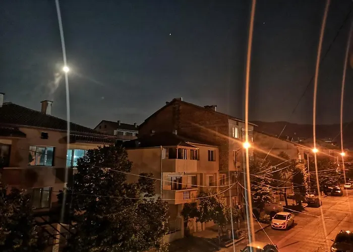 Merilyn Petrich Petrič