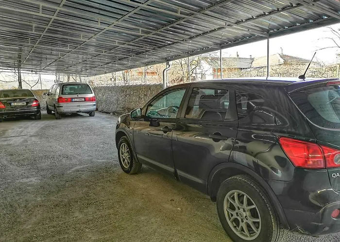 Merilyn Petrich Petrič